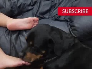 Thumb 6