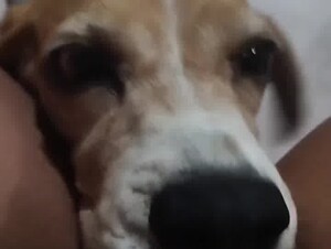 Licking...
