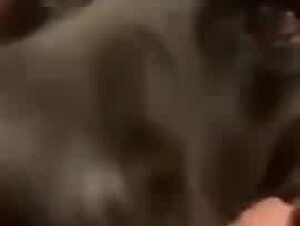 Thumb 9