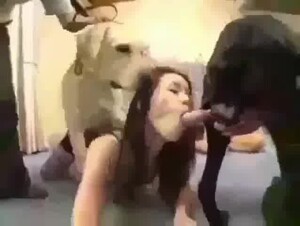MY COUSIN AND I TOOK ON HER DOGS