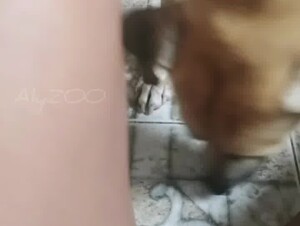 Thumb 6