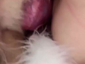 Thumb 8