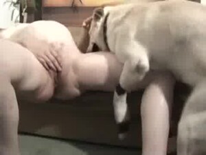Dög
