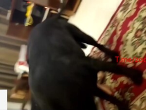 Thumb 7