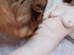 Nice pussy