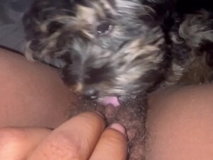 Thumb 7