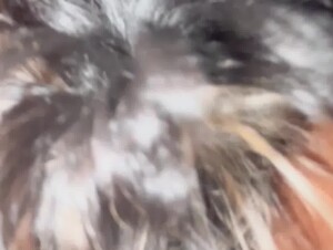 Thumb 9
