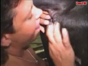 mistresbeast cow