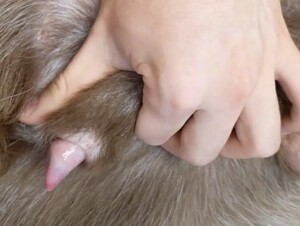 Thumb 10