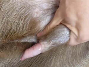 Thumb 9