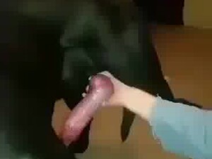 Add Tele at cindyknine