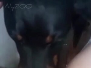 Housewife becomes a DogSlut with the help of her friend