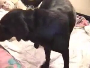 Big women Compilation 8