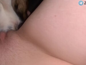 Dog Eats his Owner's Pussy
