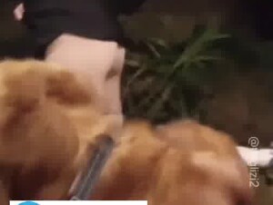 Chinese beautiful girlfriend training dog 3