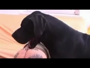 Big women - Round Ass Compilation 1