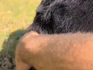 Husband Films his Wife with Dog