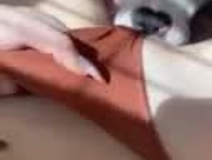 Dog licking my pussy