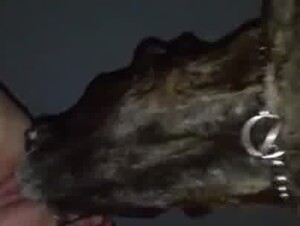 Big tits milf gets licked from underneath