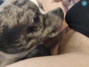 Horny Girl Getting Licked