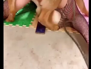 Chinese 28yo woman first try dog 2