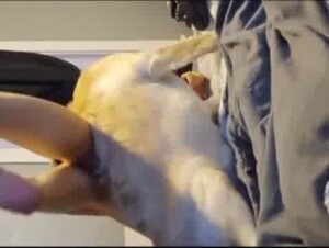 Sexy woman and her dog in a beastly video