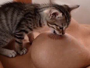 Breastfeeding kitten