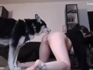 Sexyannabelle with her dog