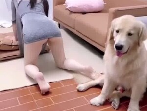 Chinese beautiful girl sex with dog 1